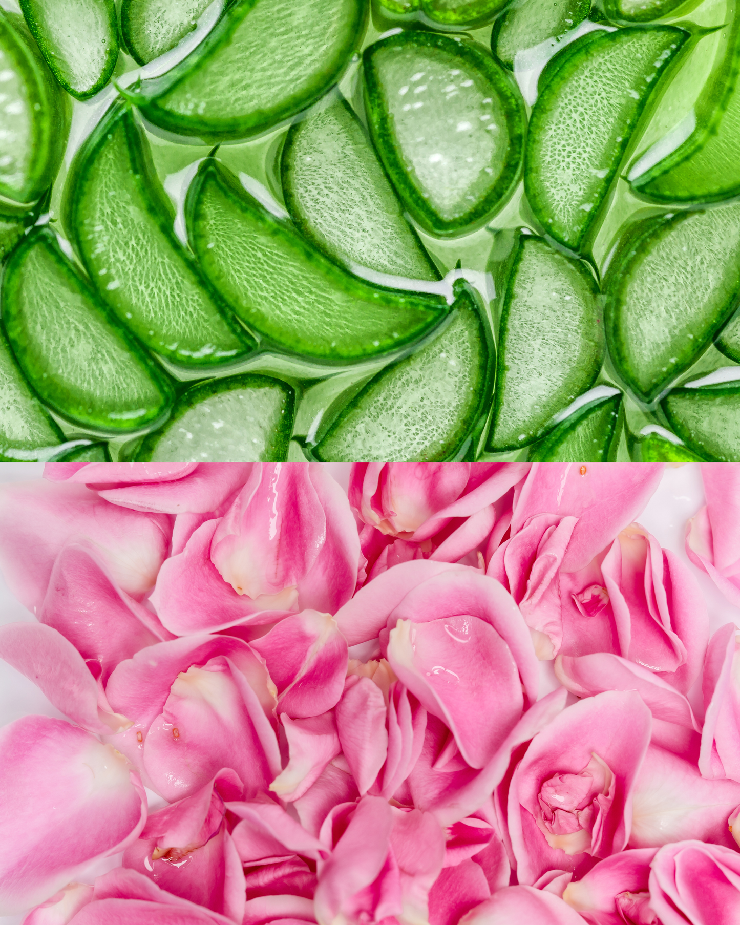Aloe Glow Face Wash